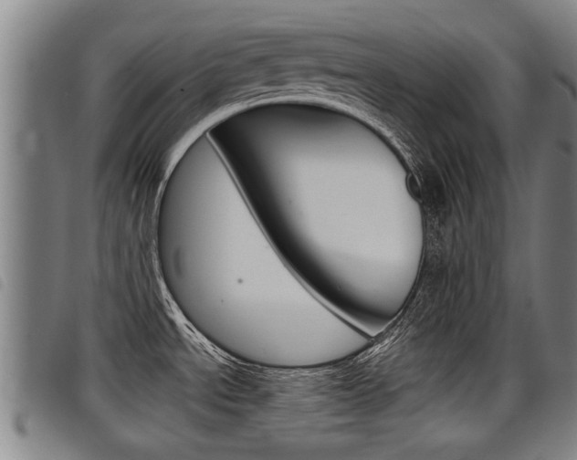 X0000098111534200804040750