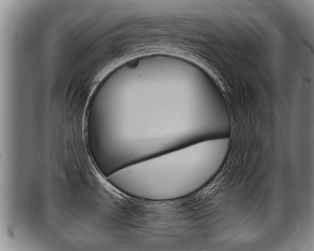 X0000098111535200804040750
