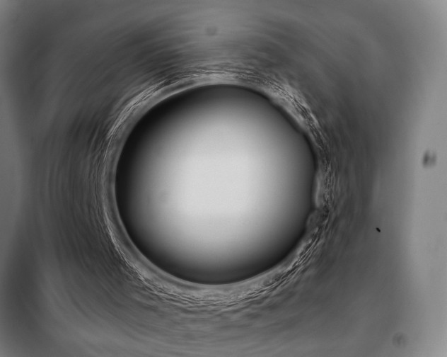 X0000098110001200804041355