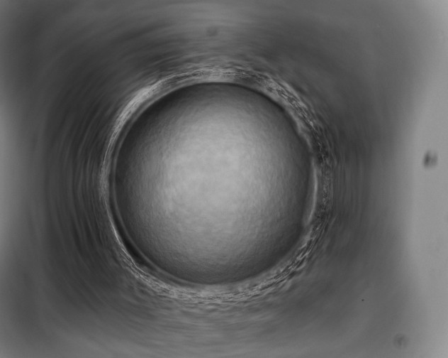 X0000098110003200804041355