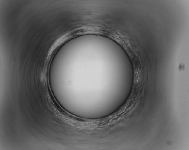 X0000098110004200804041355