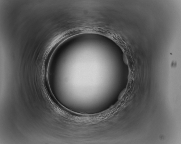 X0000098110005200804041355