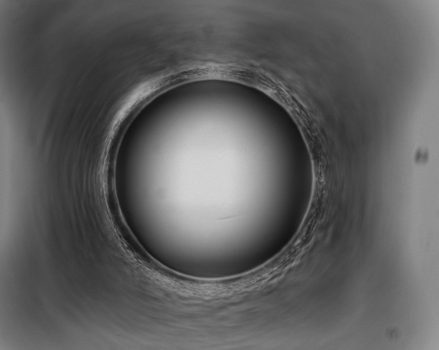 X0000098110006200804041355