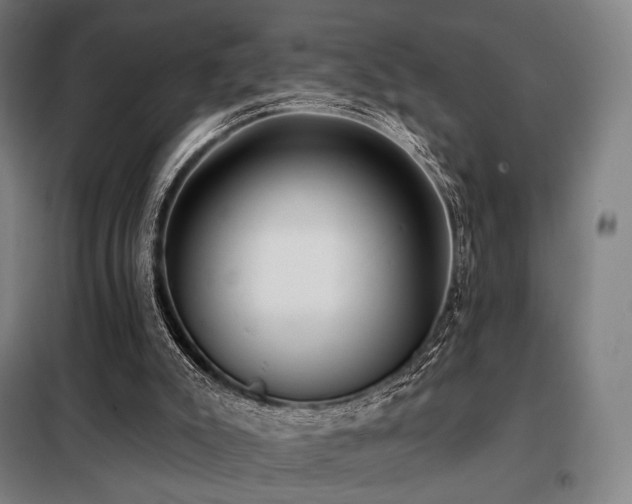 X0000098110007200804041355
