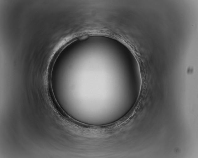 X0000098110008200804041355