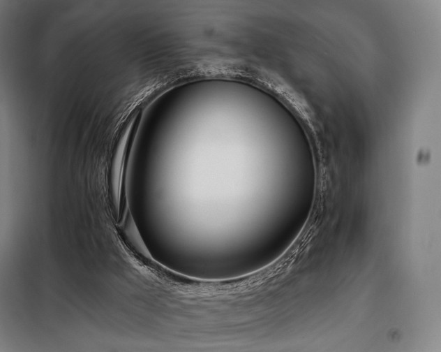 X0000098110009200804041355