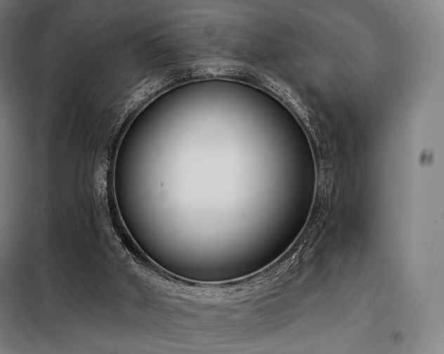 X0000098110010200804041355
