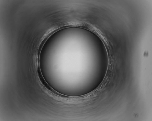 X0000098110011200804041355
