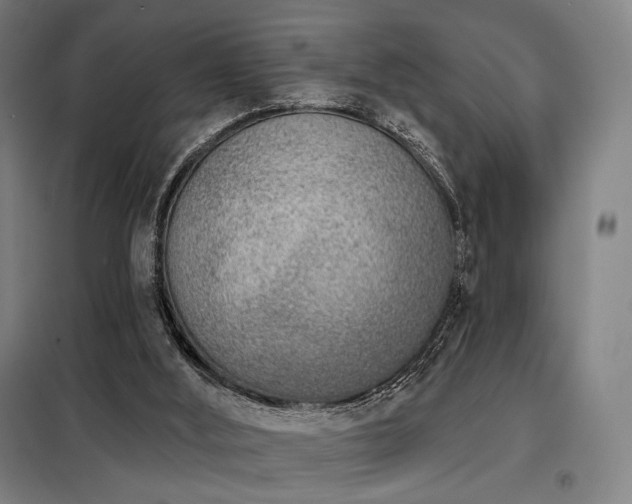 X0000098110012200804041355