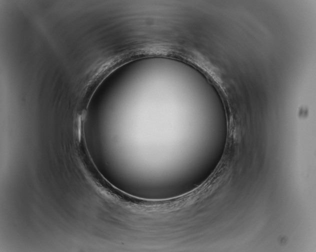 X0000098110013200804041355