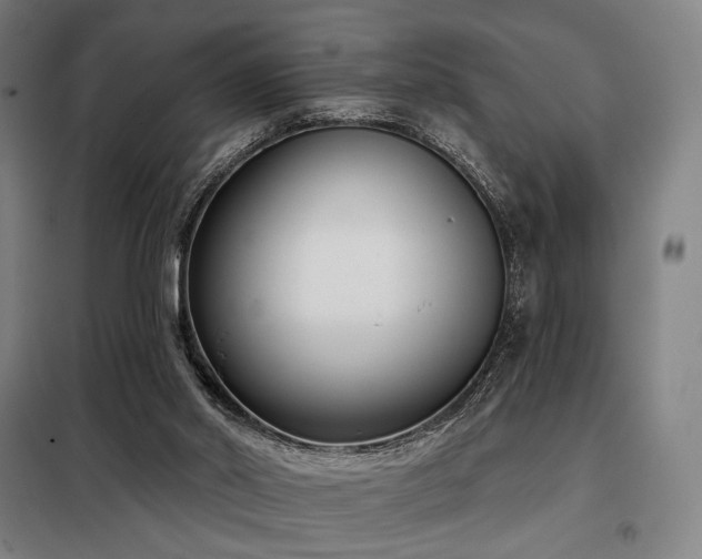 X0000098110014200804041355