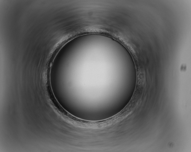 X0000098110015200804041355