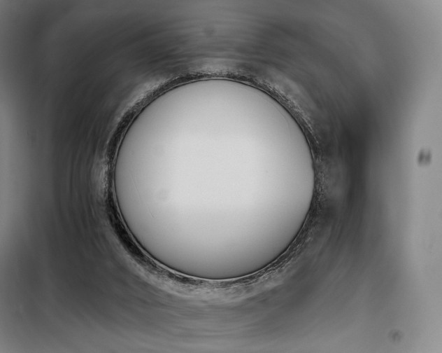 X0000098110016200804041355