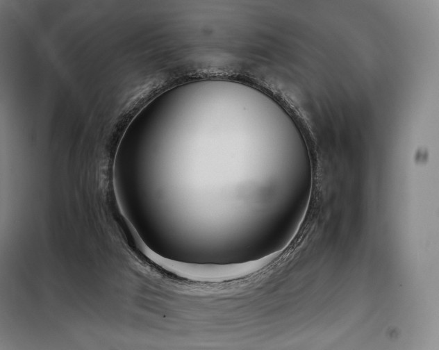 X0000098110017200804041355