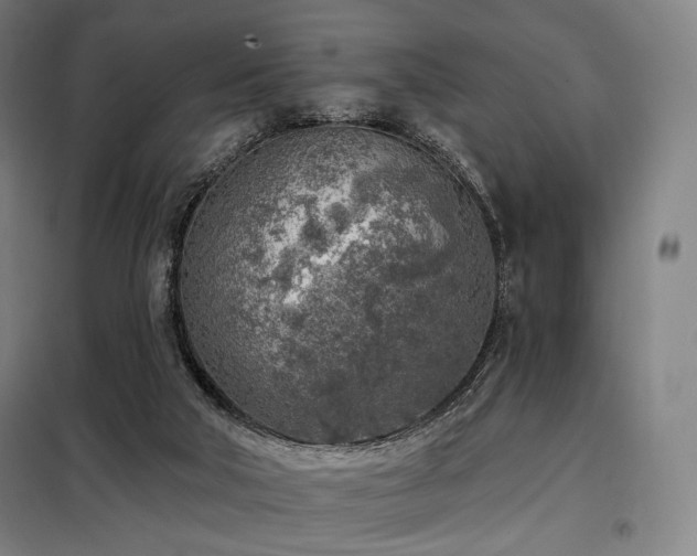 X0000098110018200804041355