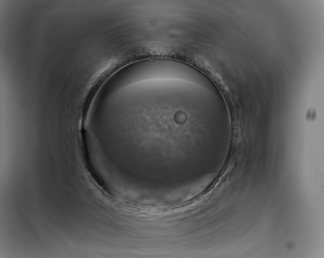 X0000098110019200804041355
