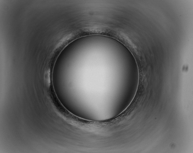 X0000098110020200804041355