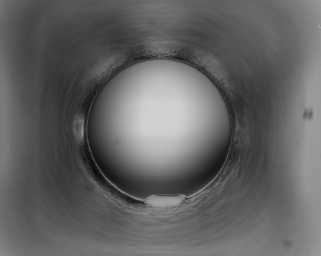 X0000098110021200804041355