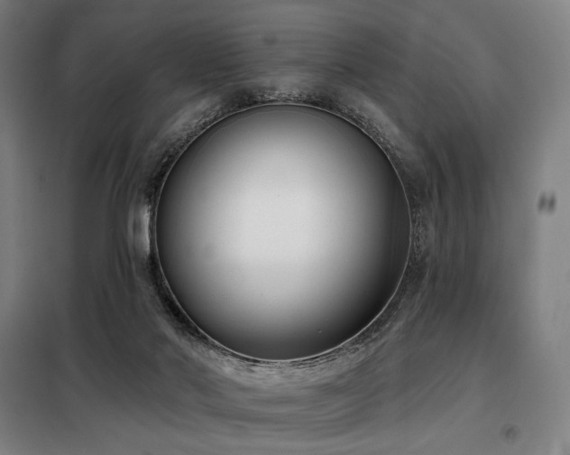 X0000098110022200804041355