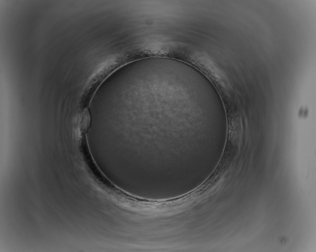 X0000098110023200804041355
