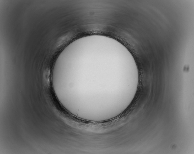 X0000098110024200804041355