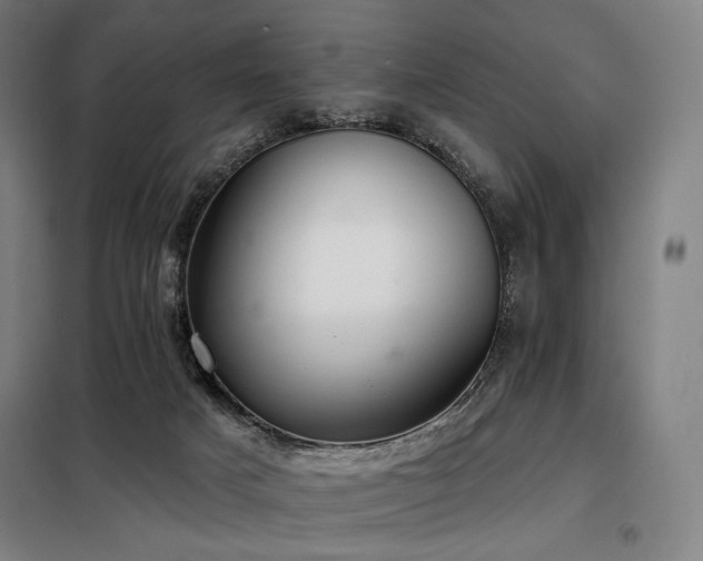X0000098110025200804041355
