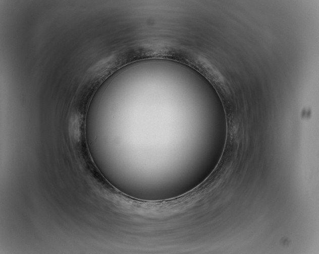 X0000098110026200804041355