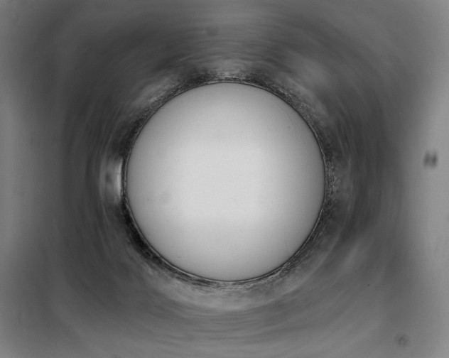 X0000098110028200804041355