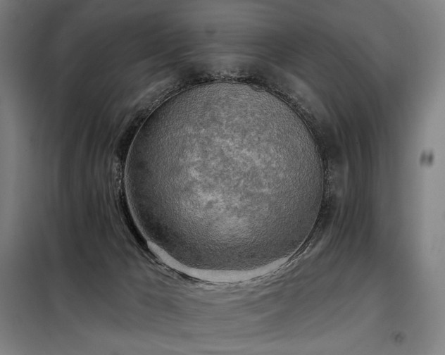 X0000098110029200804041355