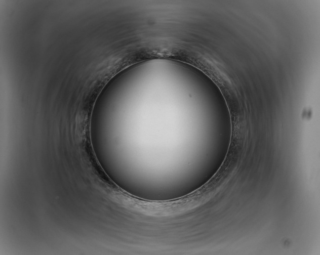 X0000098110030200804041355