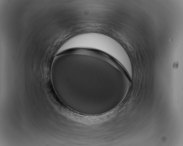 X0000098110031200804041355