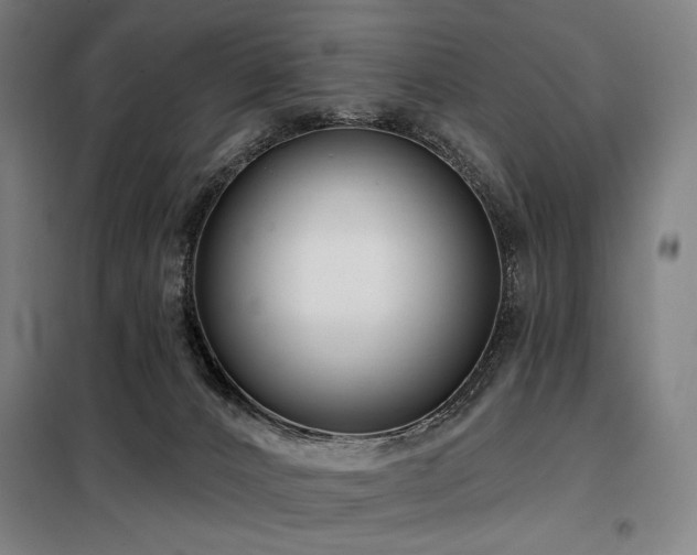 X0000098110032200804041355
