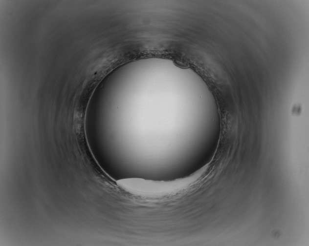 X0000098110033200804041355