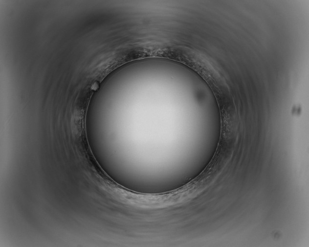 X0000098110034200804041355