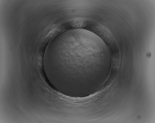 X0000098110035200804041355