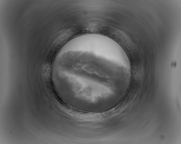 X0000098110036200804041355