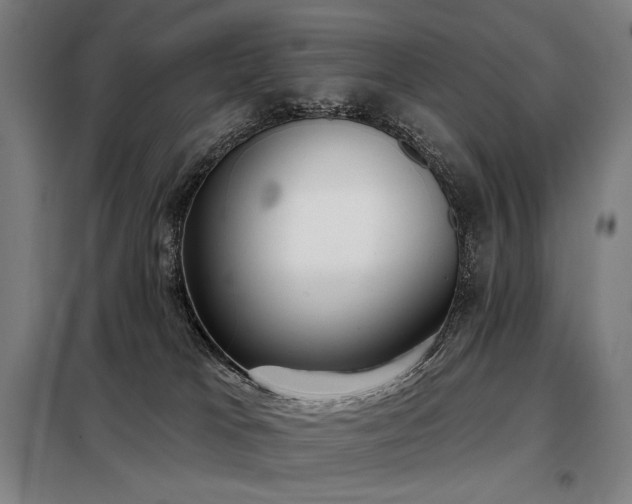X0000098110037200804041355
