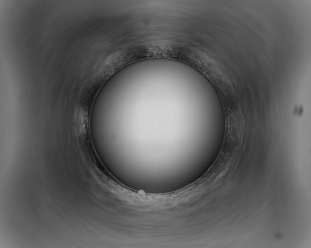 X0000098110038200804041355