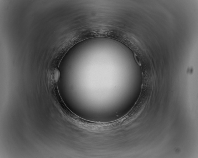 X0000098110040200804041355