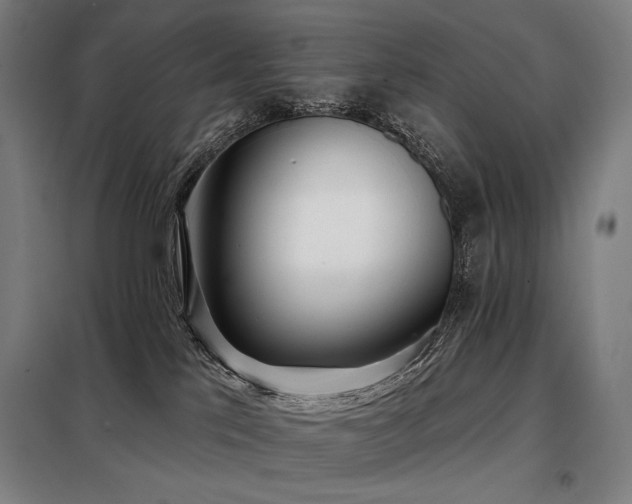 X0000098110041200804041355