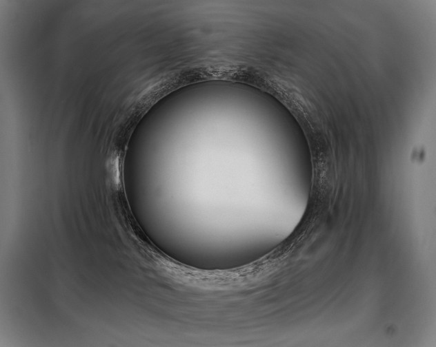 X0000098110042200804041355