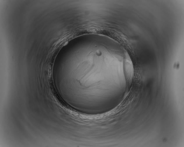 X0000098110043200804041354