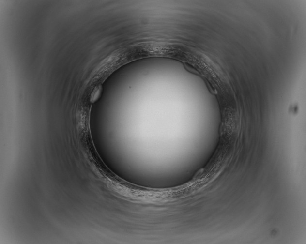 X0000098110044200804041354