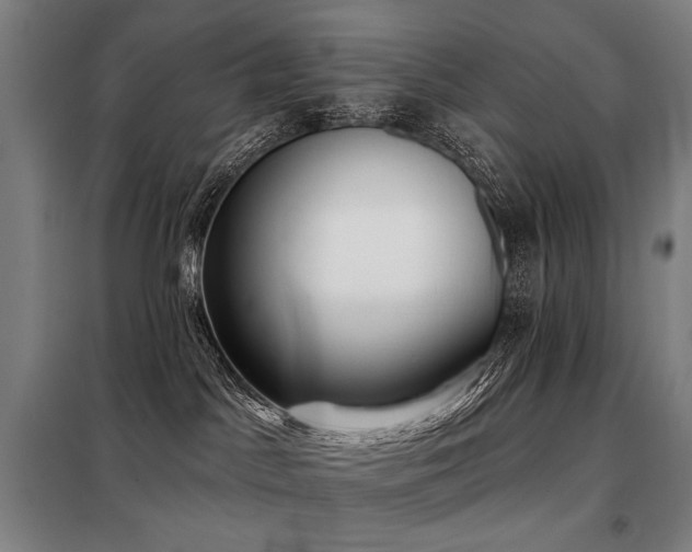 X0000098110045200804041354