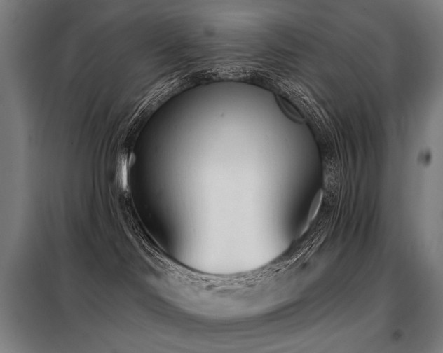 X0000098110046200804041354