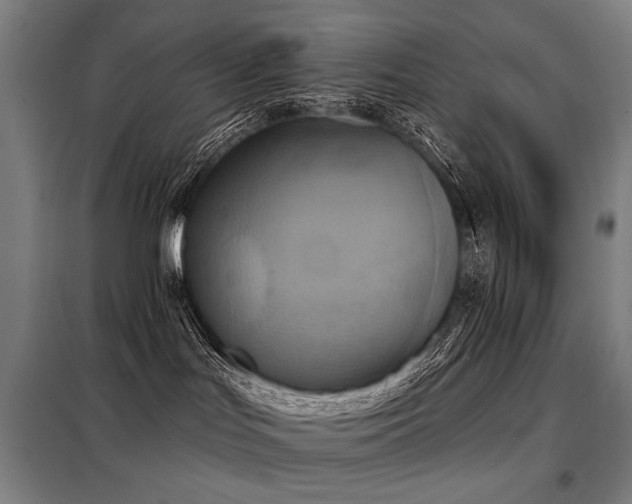 X0000098110047200804041354