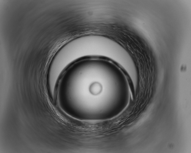 X0000098110049200804041354