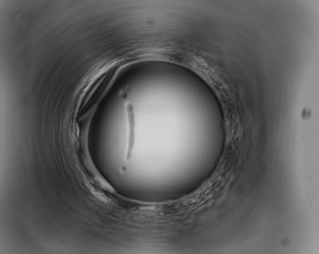 X0000098110050200804041354