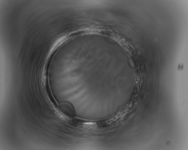X0000098110053200804041354
