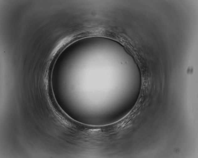 X0000098110054200804041354
